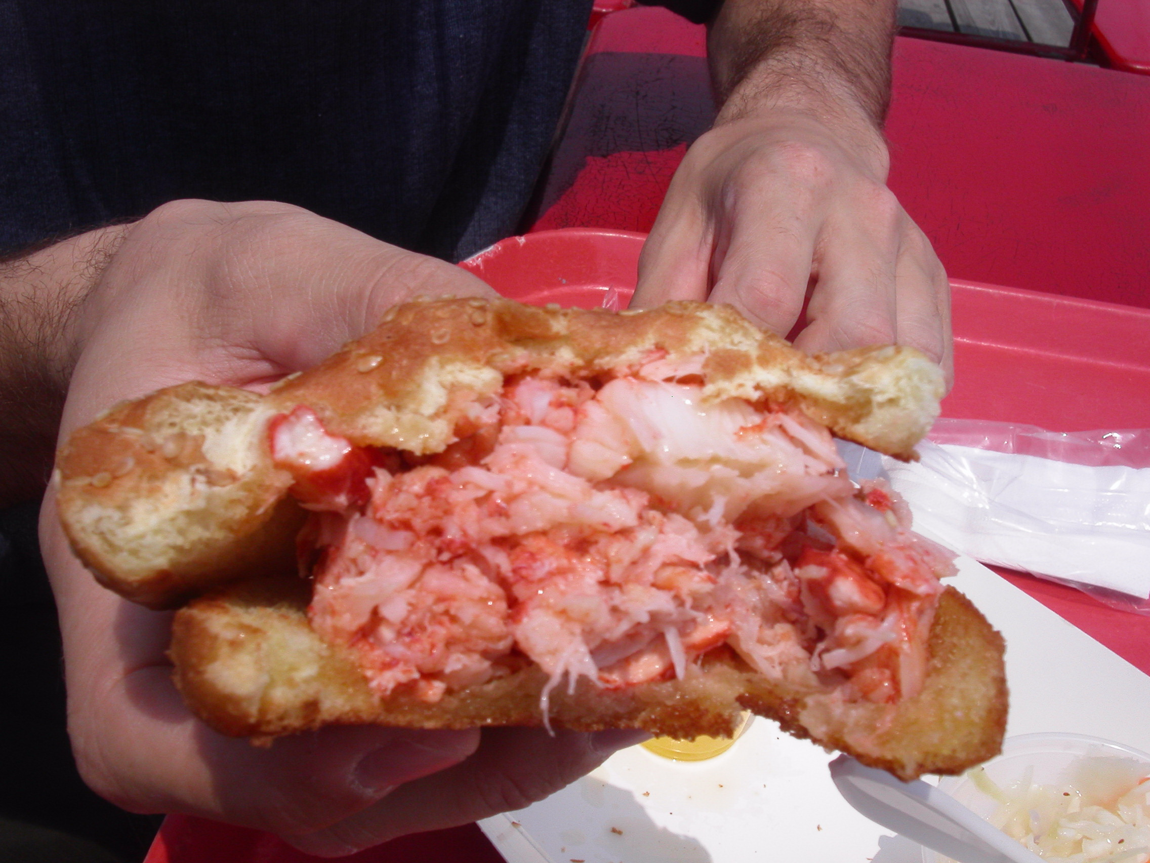 Lobster Roll Connecticut