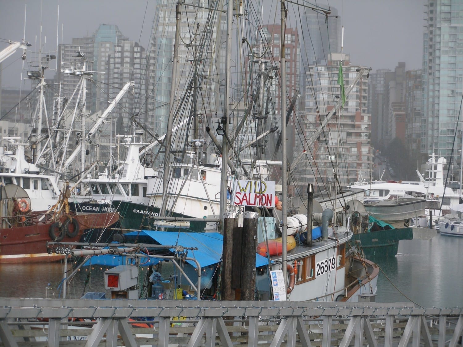 Fishing Boats Vancouver