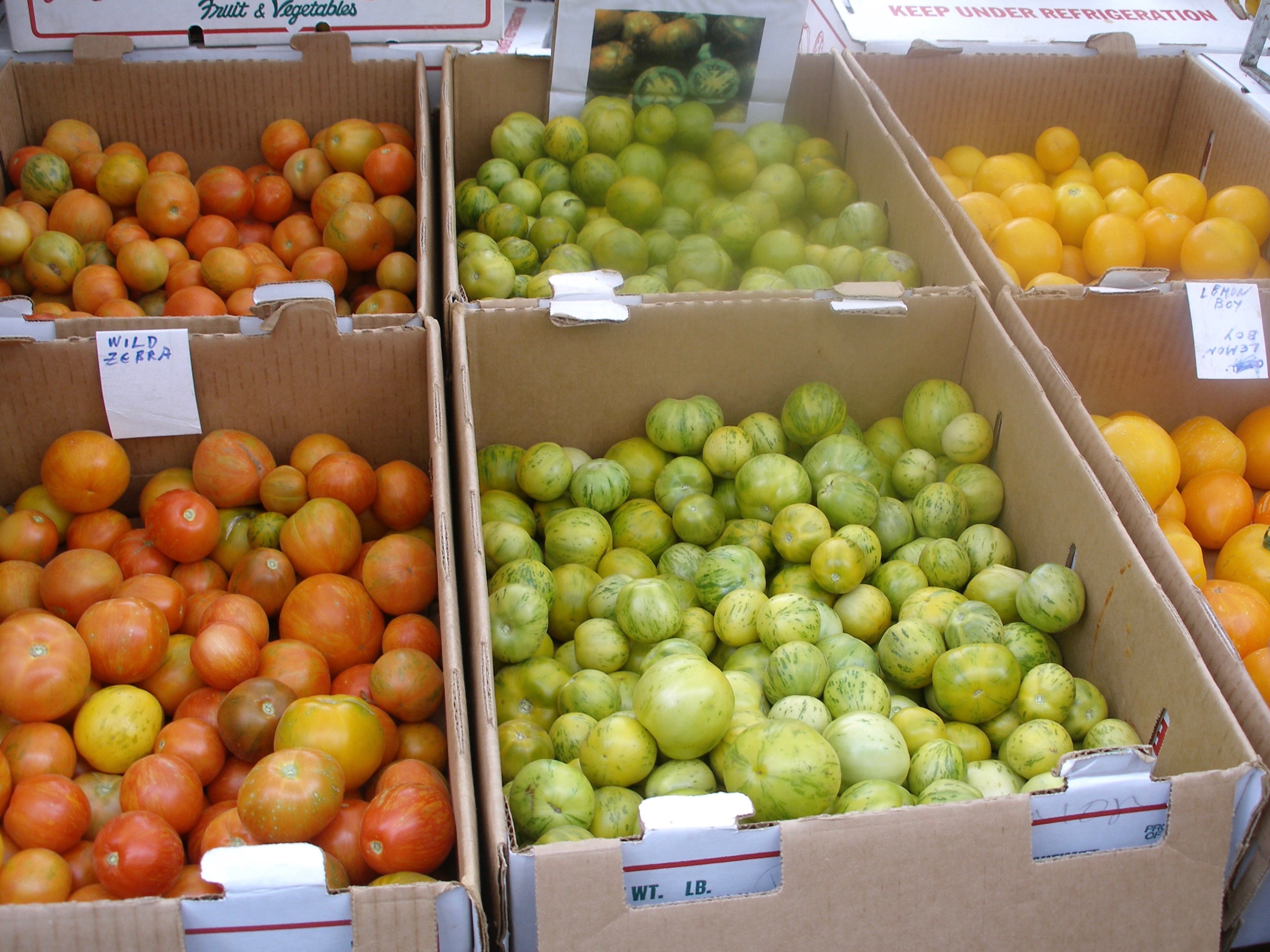 Tomatoes Los Angeles