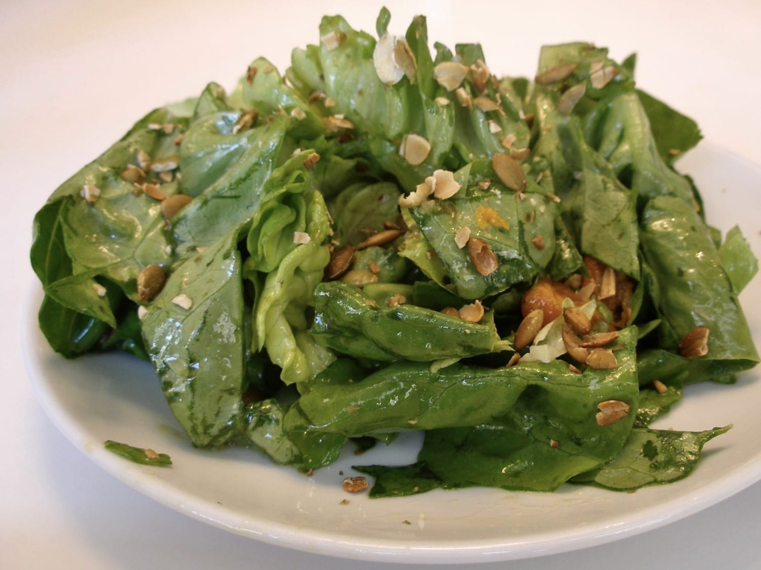 Salad New York City