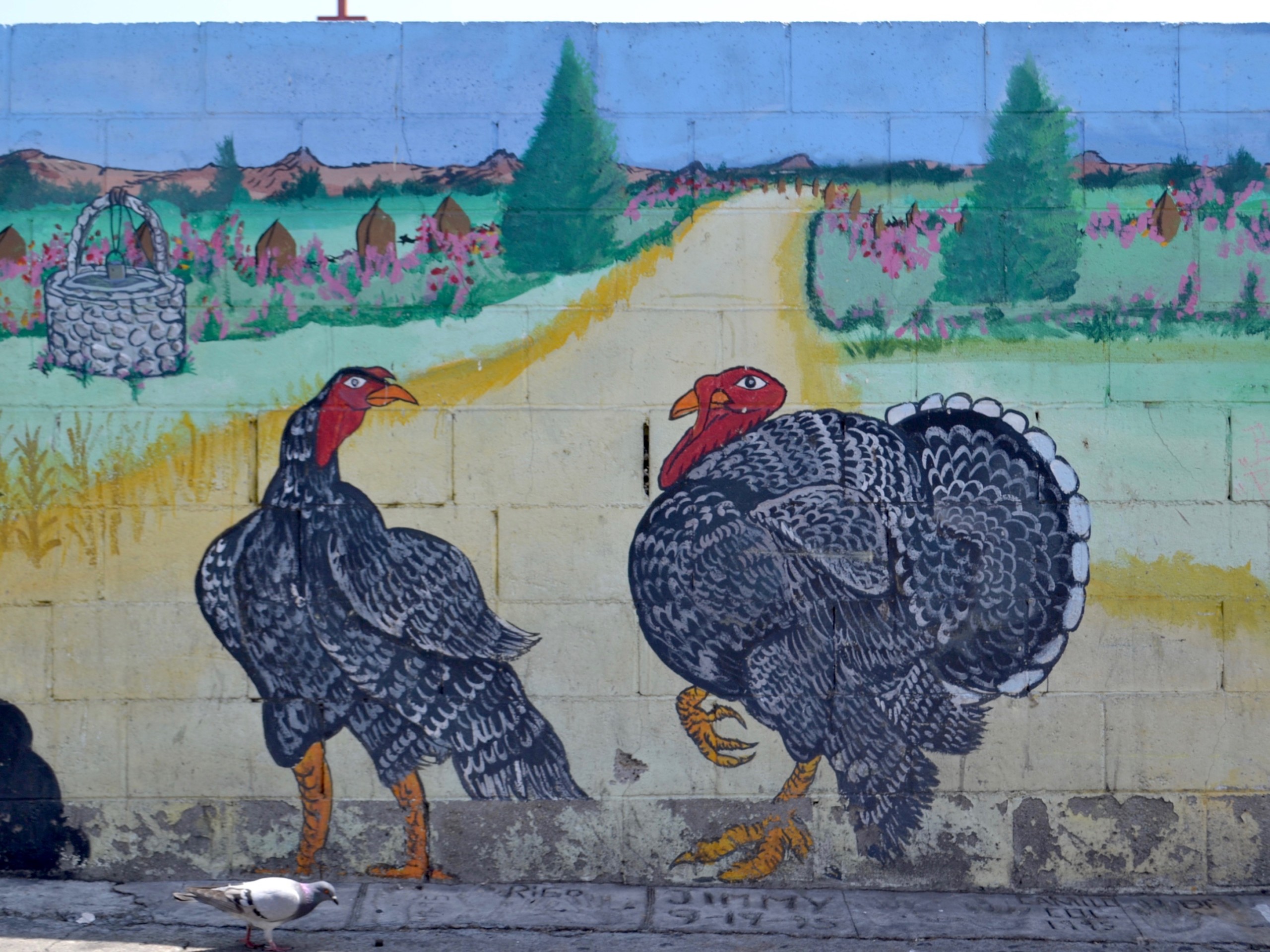 Turkey Painting