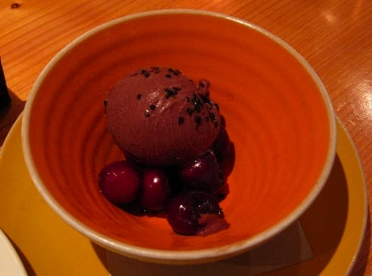 heavens-dog-chocolate-sorbet heavens-dog-chocolate-sorbet