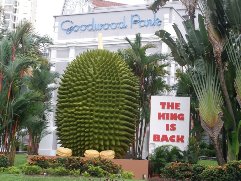Durian Singapore