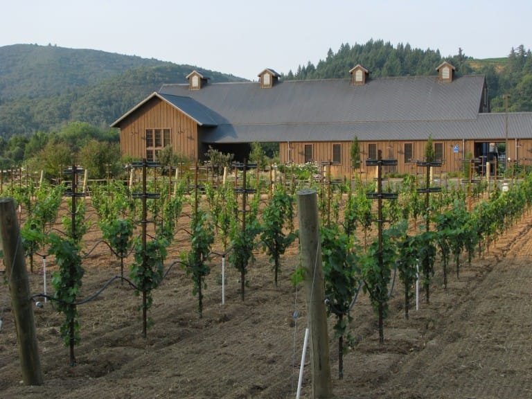 Wine California