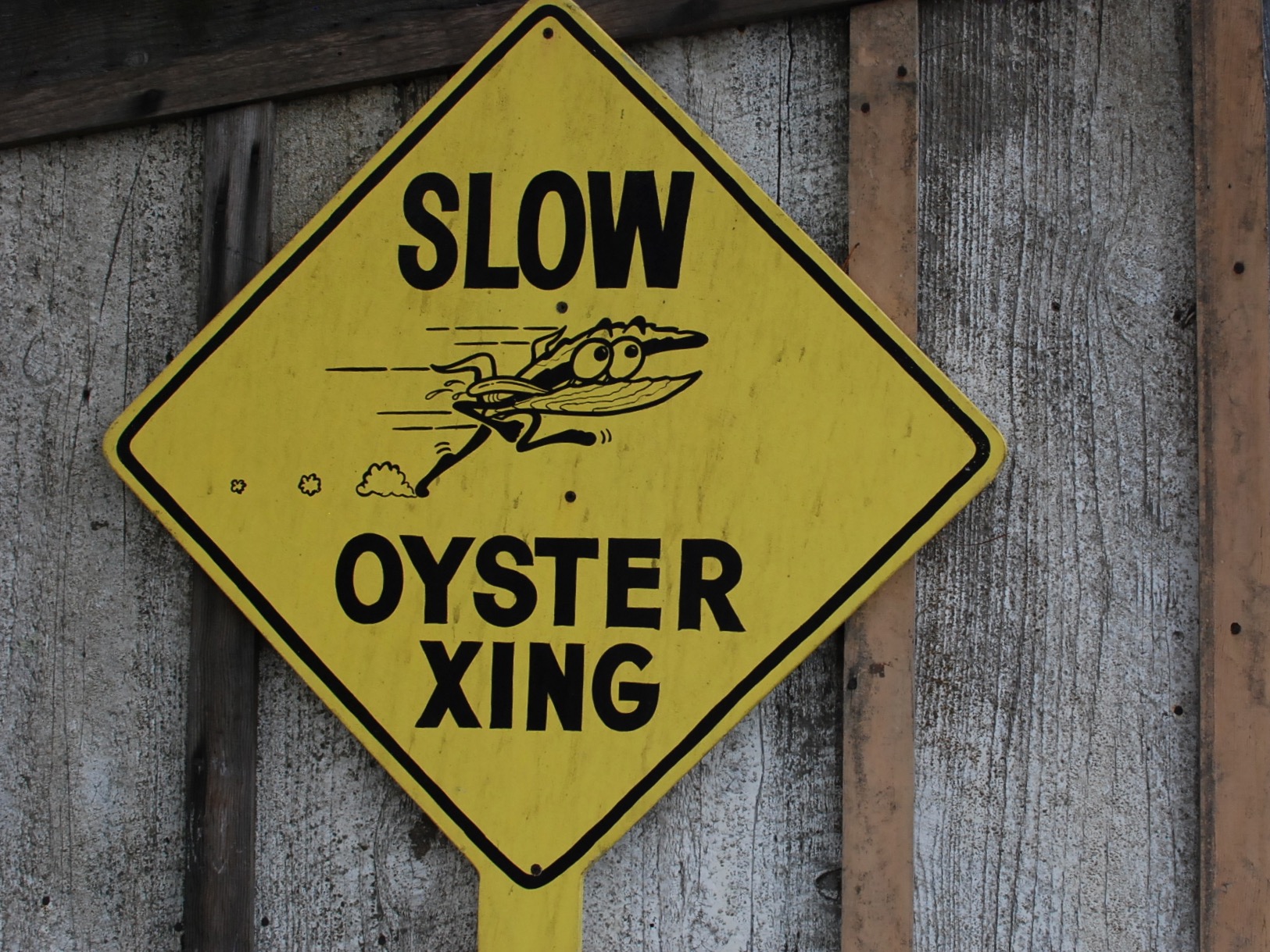 Oyster Sign Tomales Bay