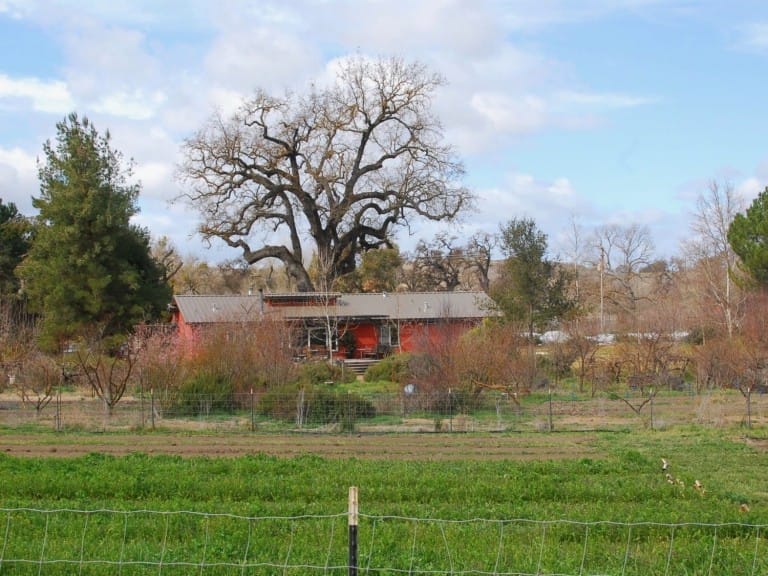 Farm Paso Robles