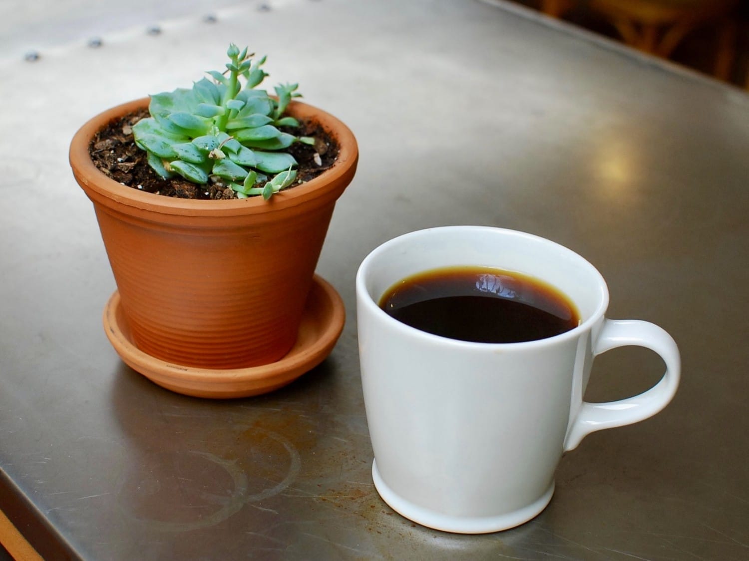 Coffee Salt Lake City