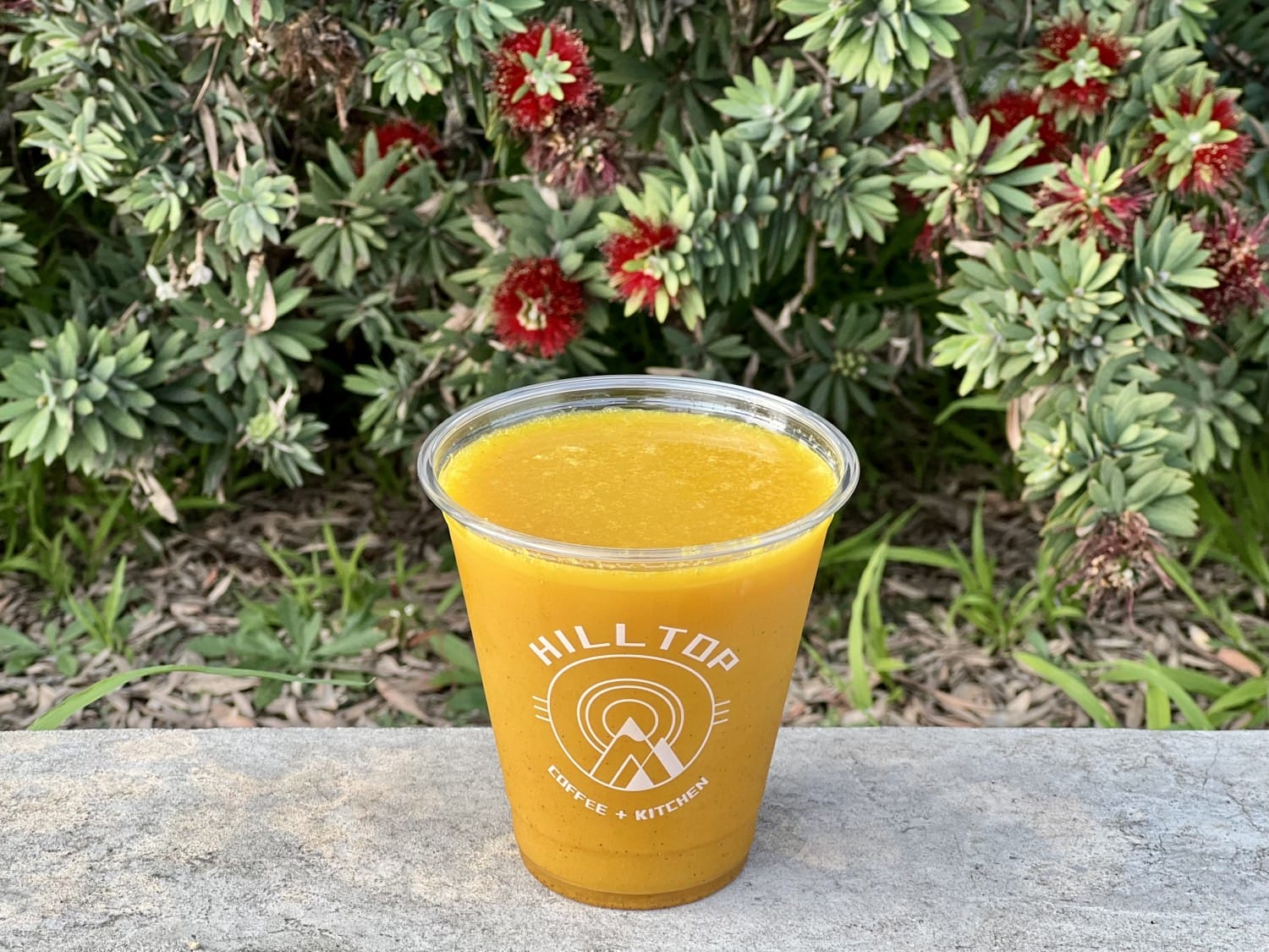 Turmeric Drink Los Angeles