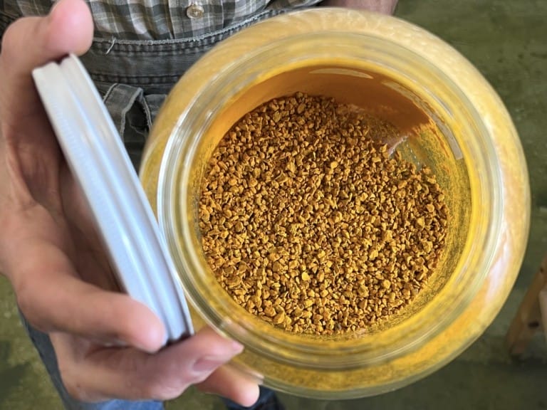 Turmeric Los Angeles