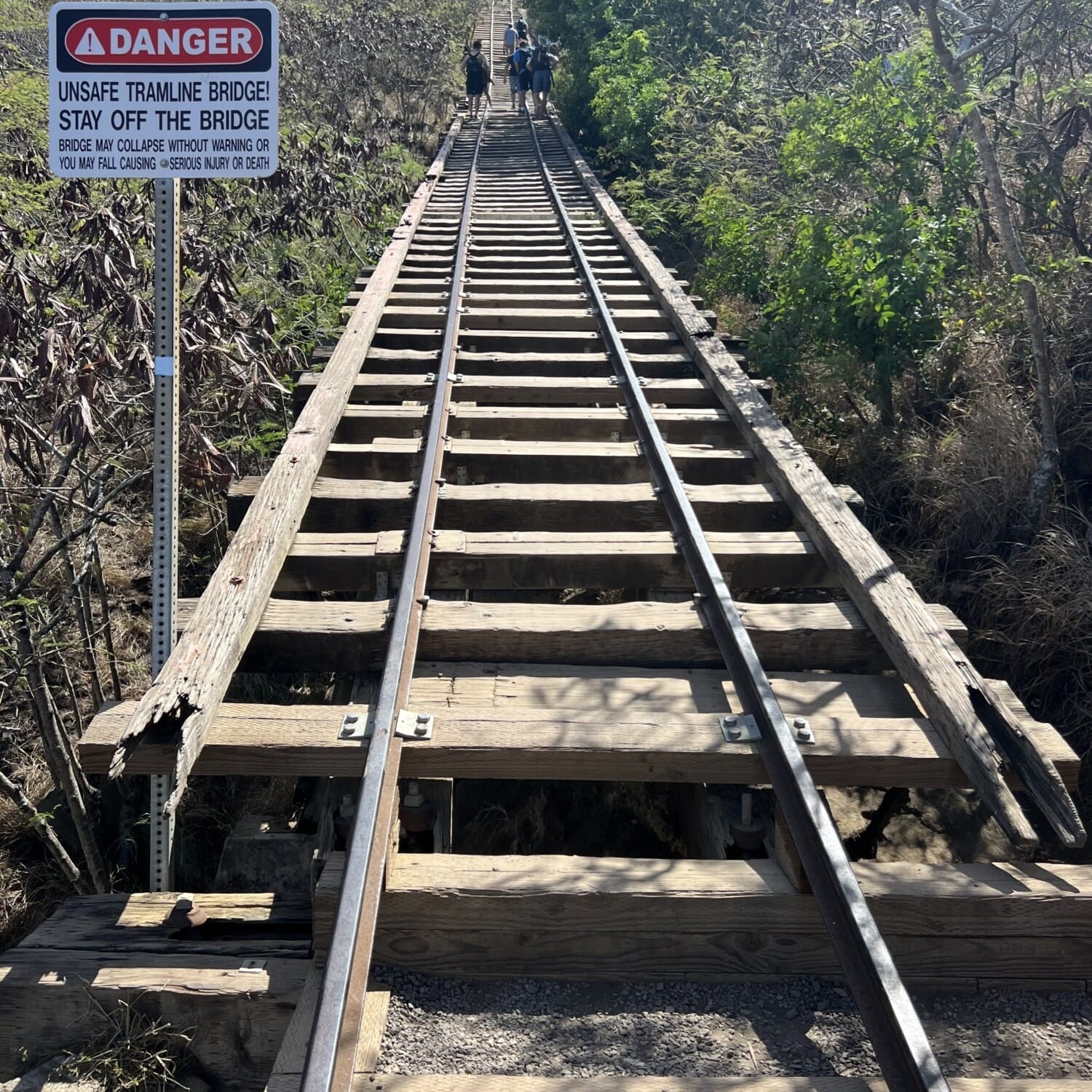 Hiking Trail Oahu