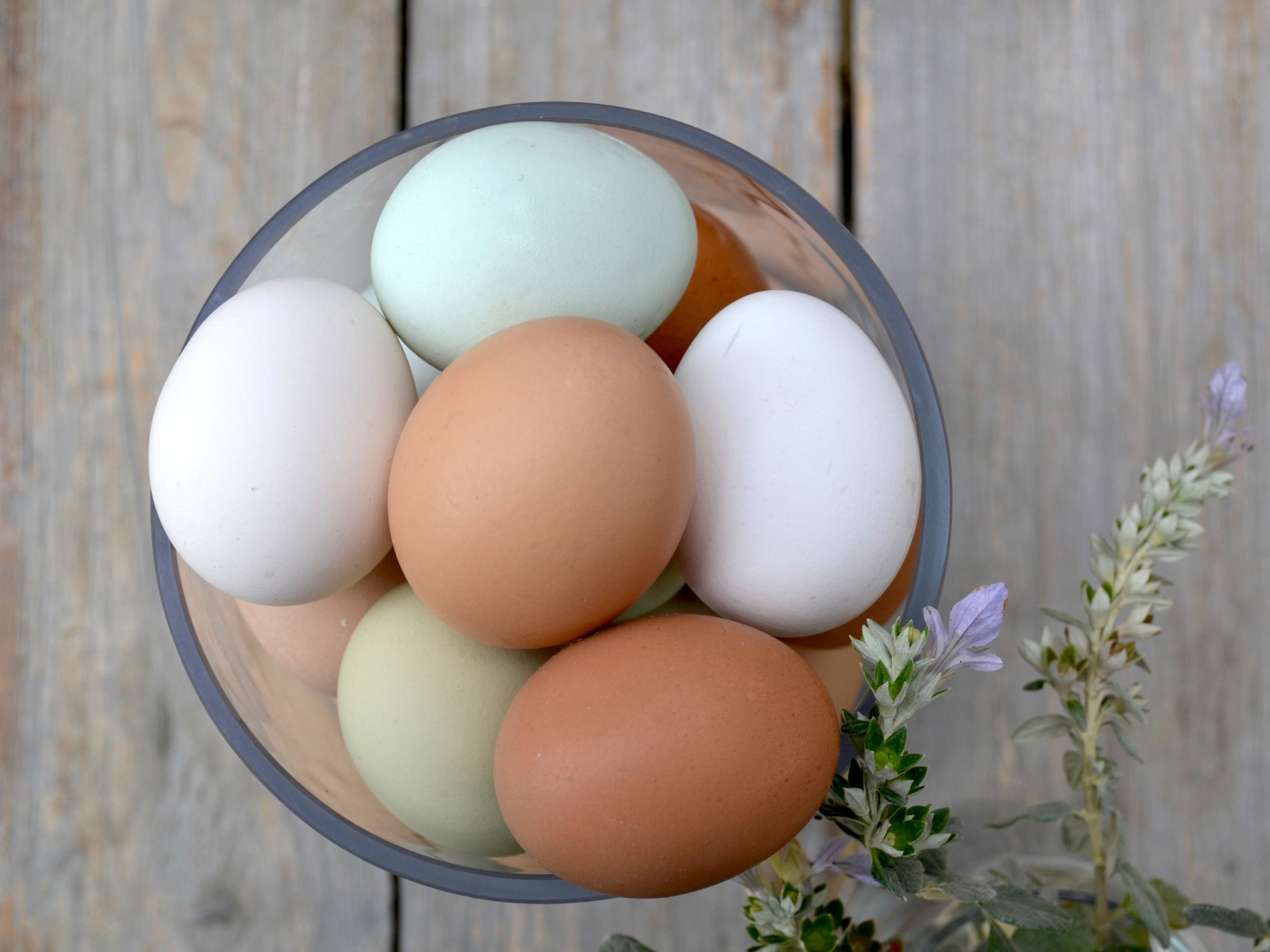 Eggs Ventura County