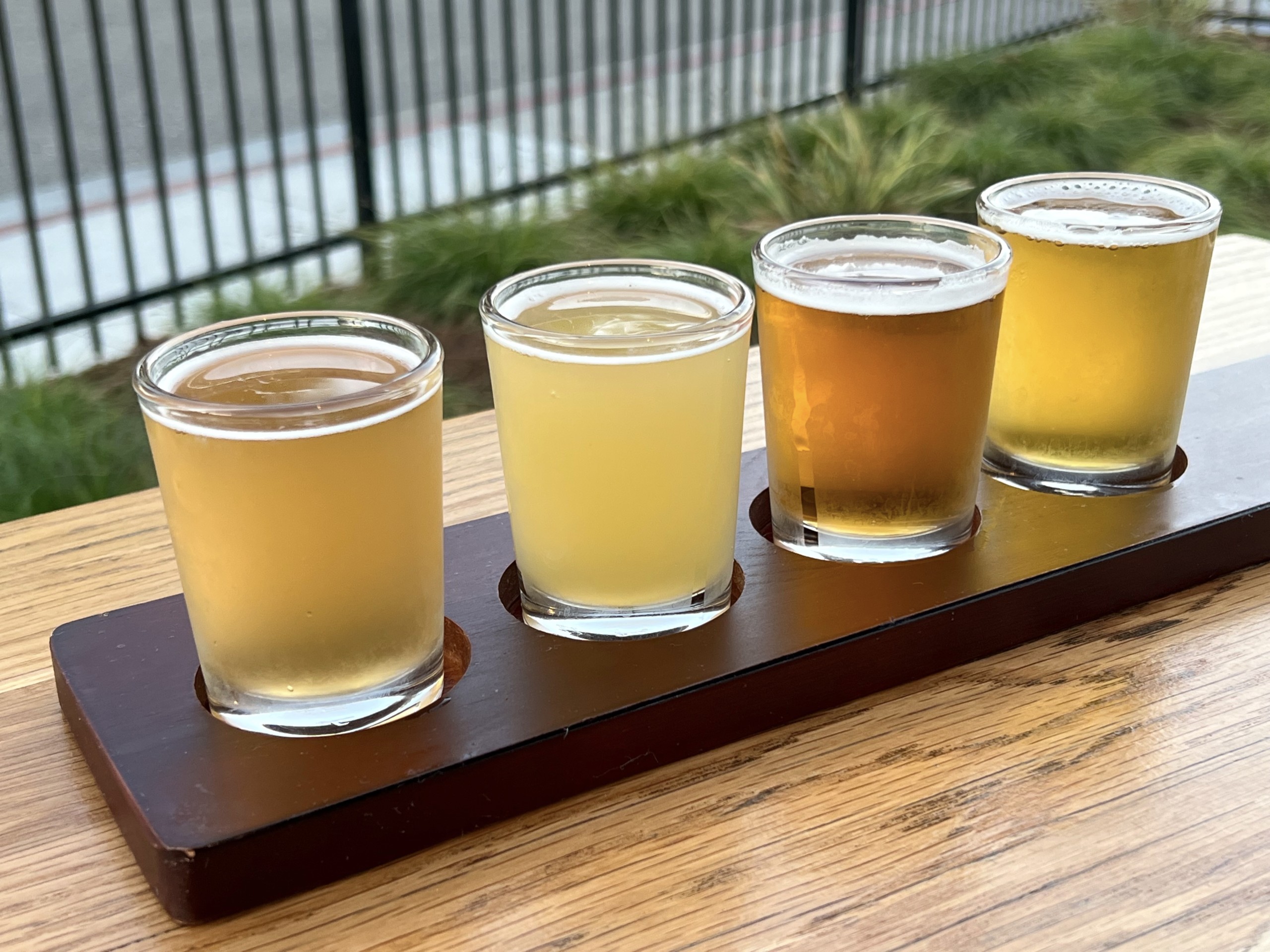 Craft Beer Sonoma County