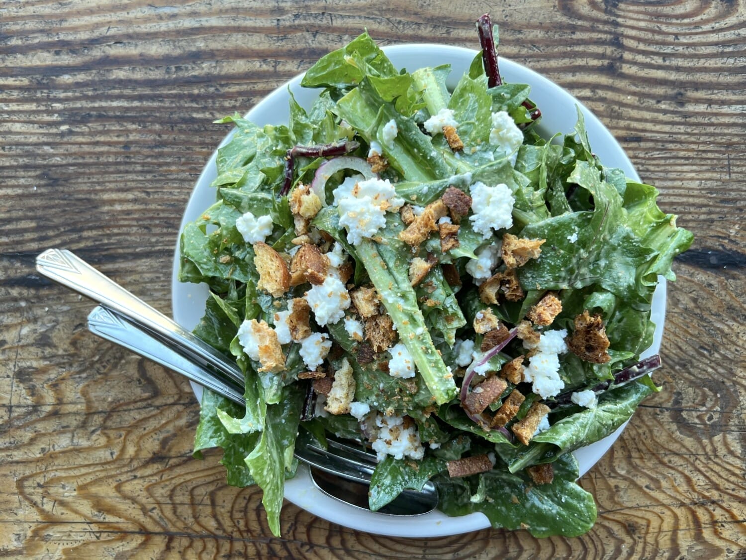 Salad Los Angeles