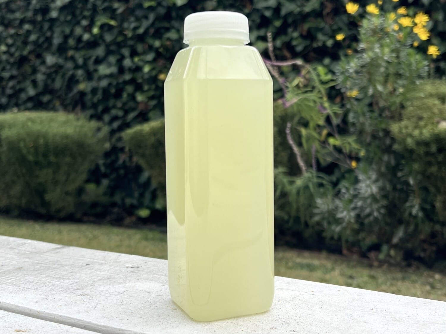 Lemonade Los Angeles