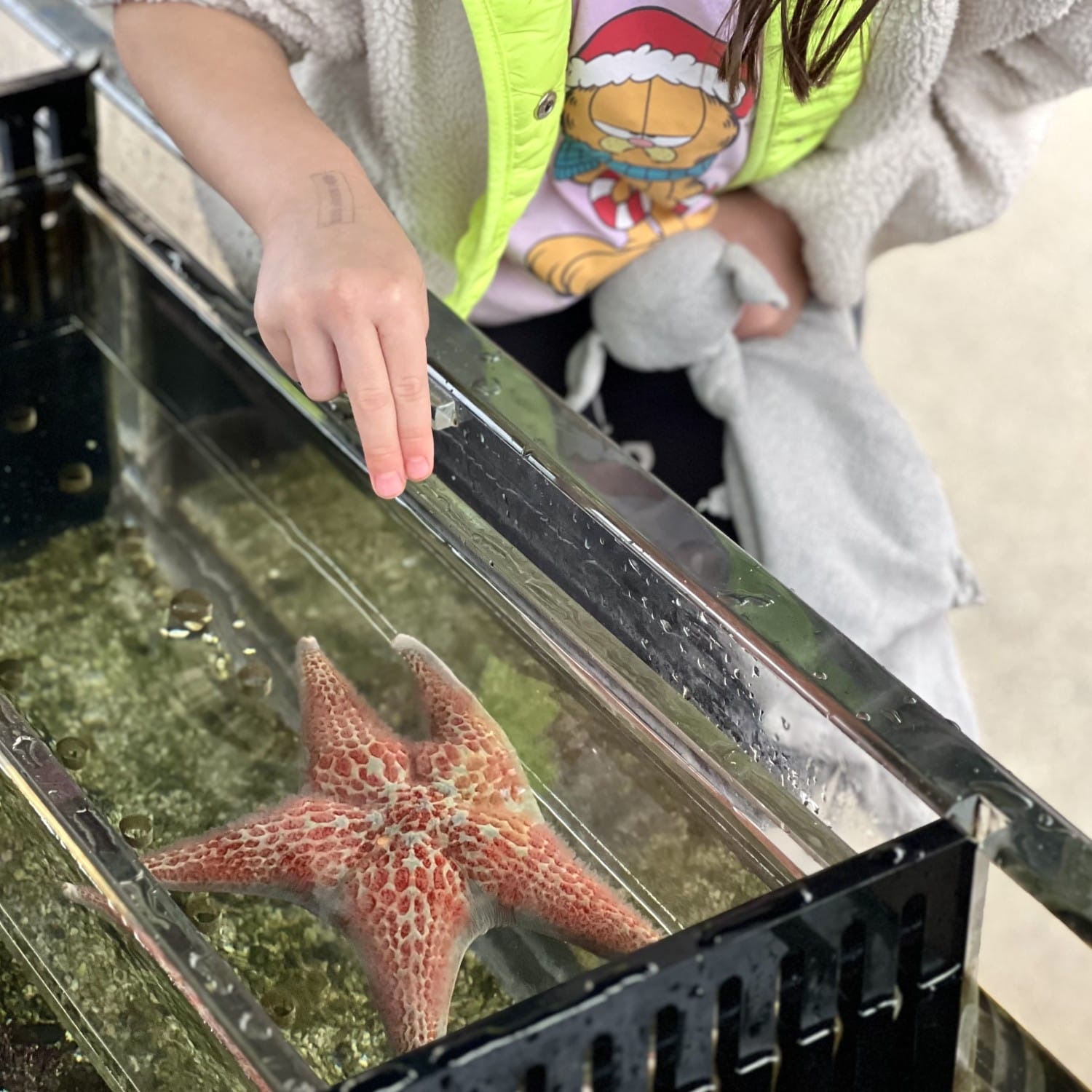 Aquarium San Diego