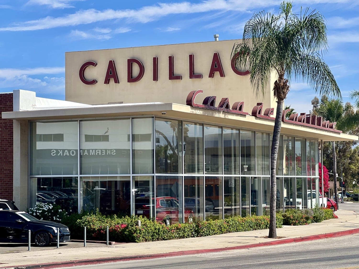 Car Dealership San Fernando Valley