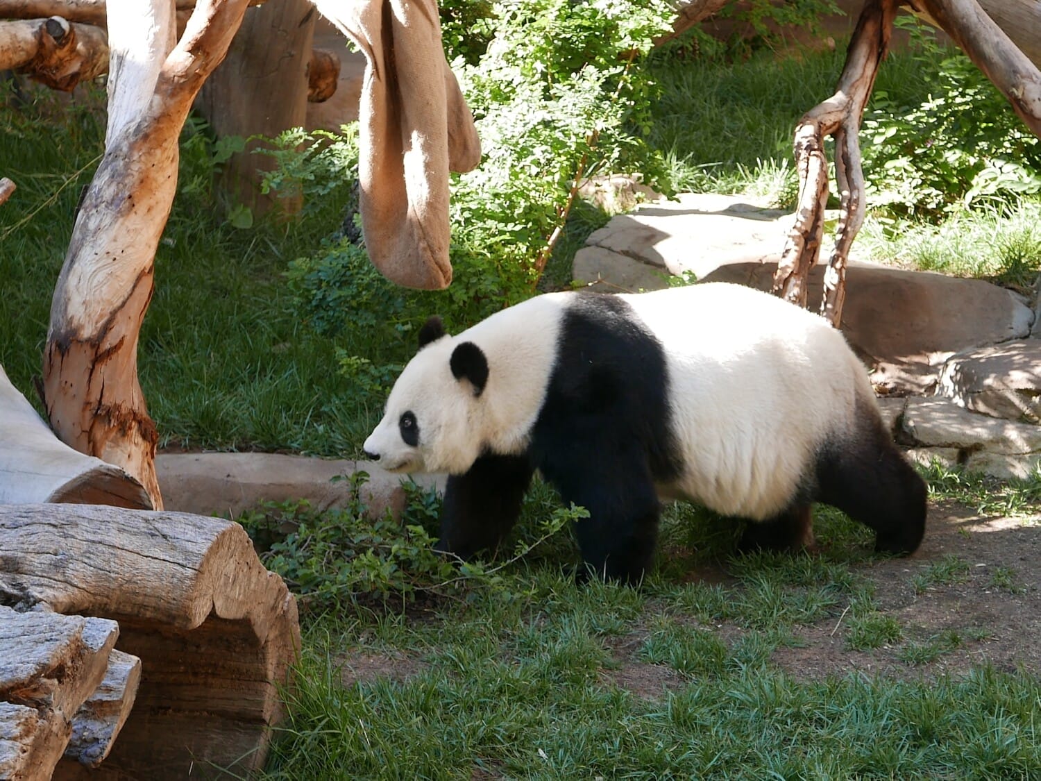 Zoo San Diego
