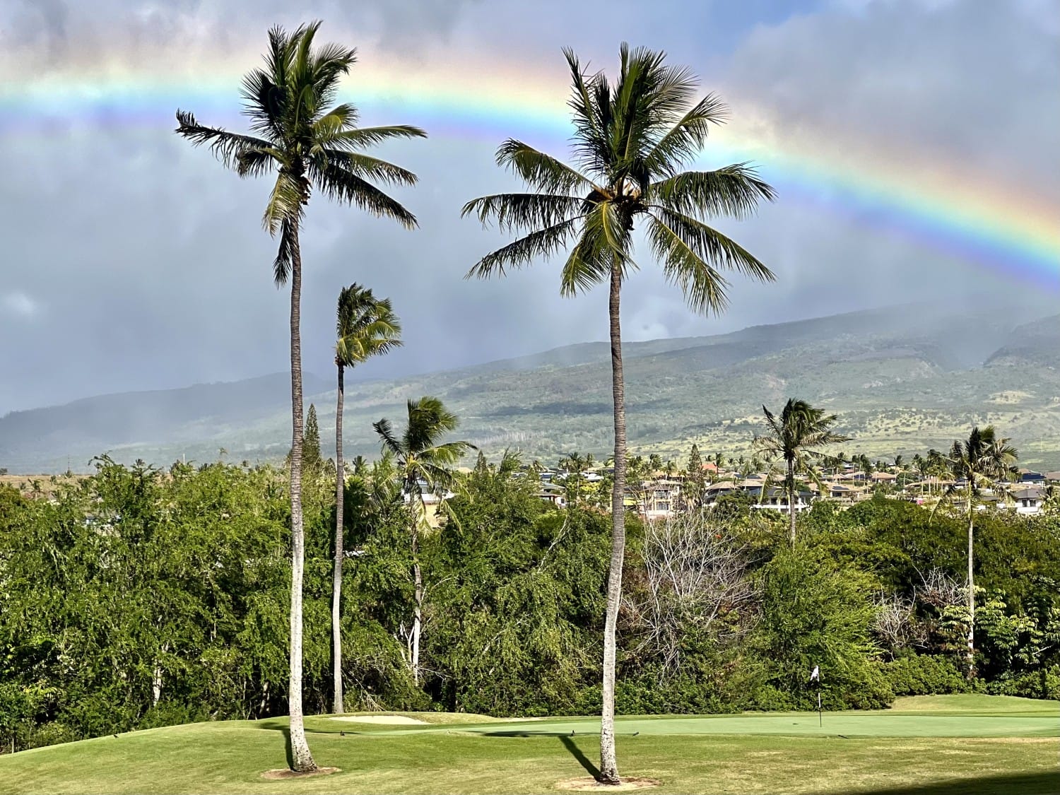 Rainbow Maui