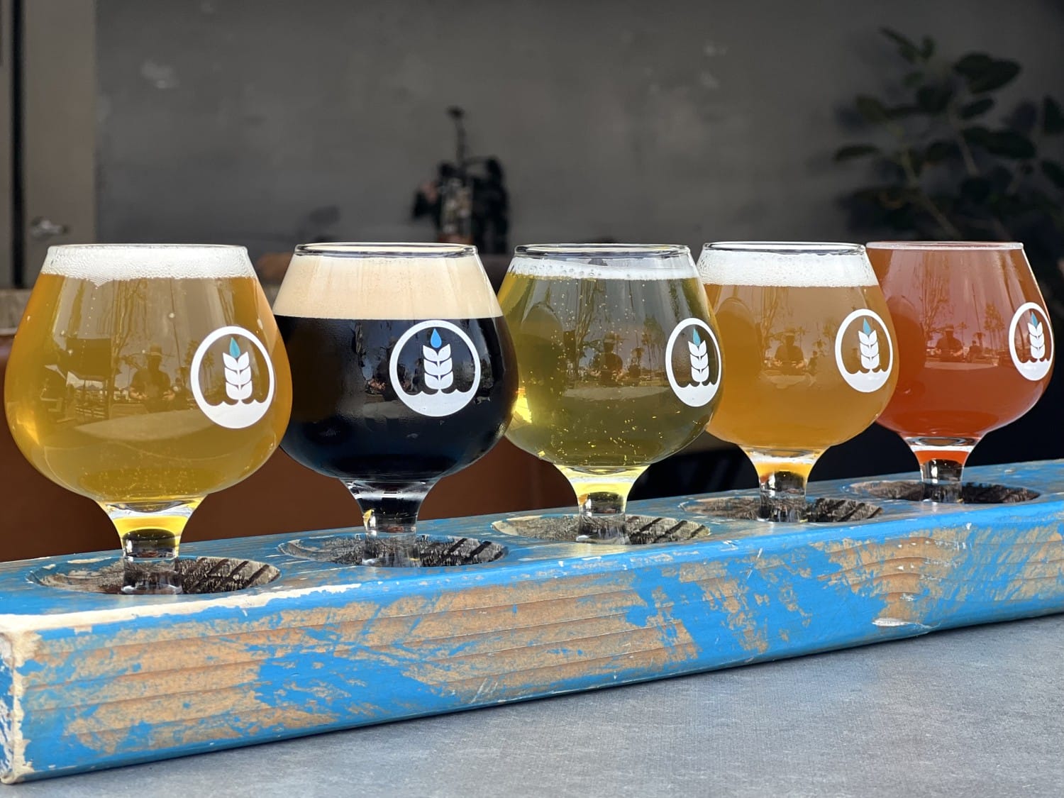 Beer Carlsbad