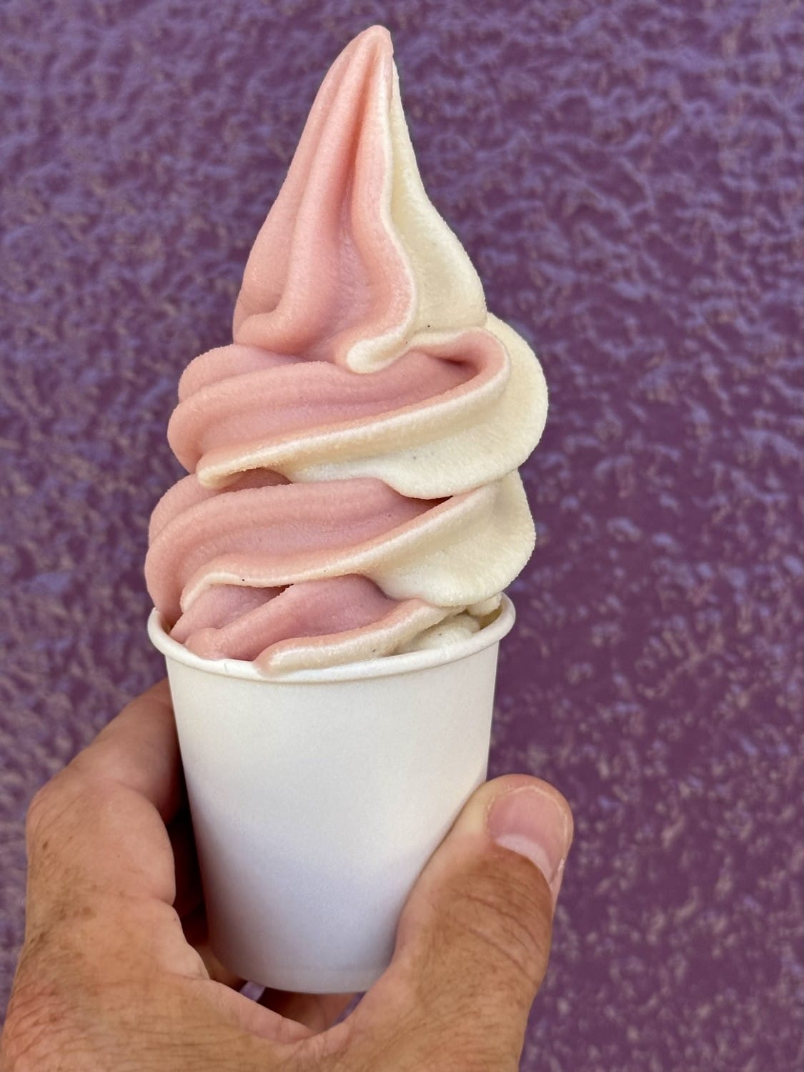 Soft Serve Ice Cream Los Angeles