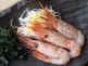 Prawns